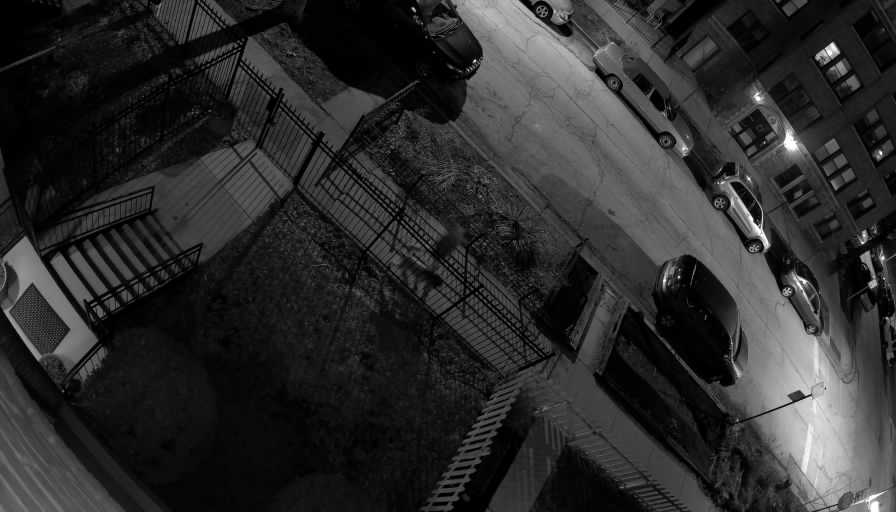 Reolink Camera Two_01_Reolink Home Hub One_20260319215653.jpg